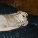 Loretta Harper Photo 28