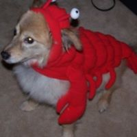 Sadie Mcdaniel Photo 6