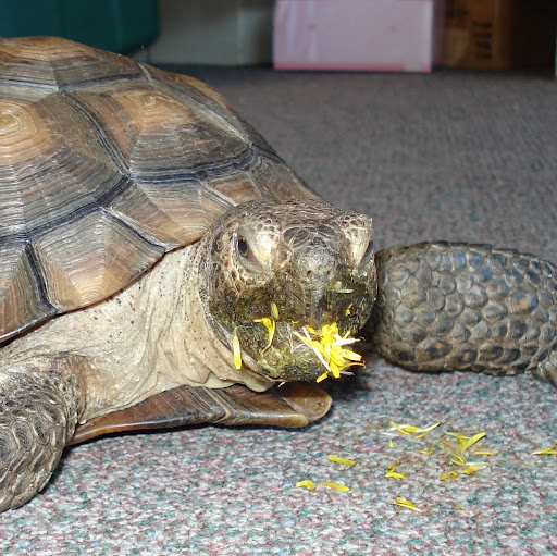 Jeanne Anderson Photo 15