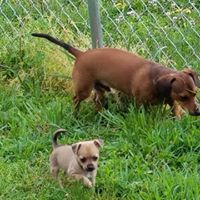 Jackie Wolfe Photo 42