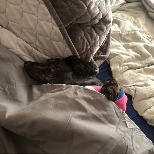 Adam Reynolds Photo 29