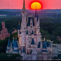 Cynthia Berthiaume Photo 3