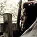 Audrey Cross Photo 8