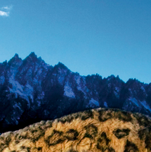 Megan Patton Photo 20