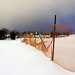 Howard Rubinstein Photo 12