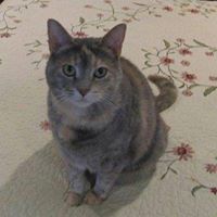 Marcia Jacobson Photo 16