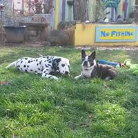 Stacy Garland Photo 24