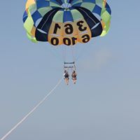 Cindy Broderick Photo 4