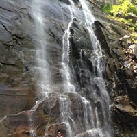 Renee Copeland Photo 40