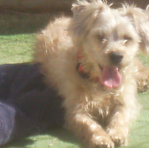 Arlene Meadows Photo 11