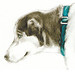 Susan Patton Photo 14