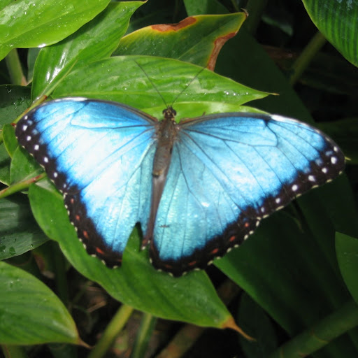 Catherine Dunlop Photo 3