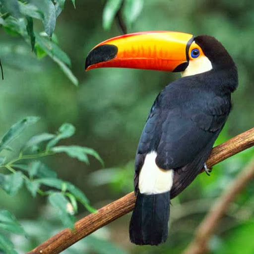 Philip Groves Photo 3