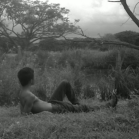 Daniel Arn Photo 11