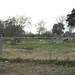 Bertha Bailey Photo 23