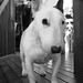 Doris White Photo 33