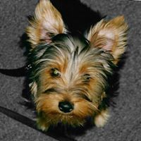 Angela Vereen Photo 8