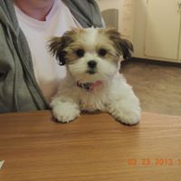 Cindy Camp Photo 19