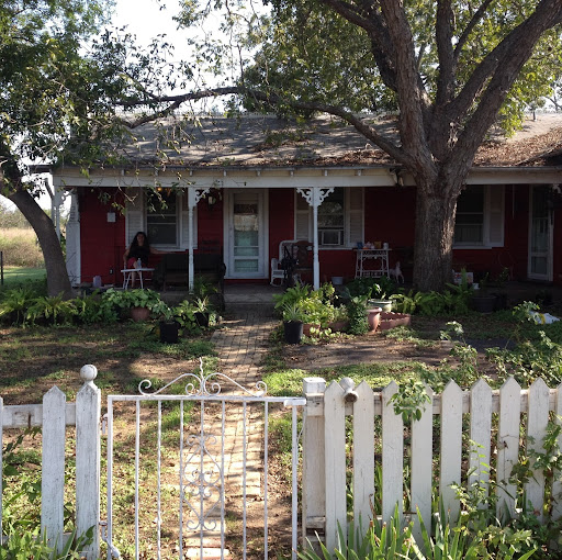 Linda Cannon Photo 12