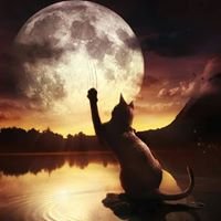 Kathleen Shelley Photo 17