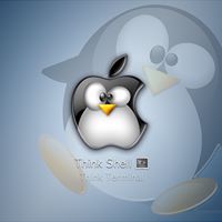 James Swank Photo 24