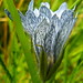 Anne Monson Photo 11