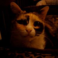 Katherine Hunter Photo 11