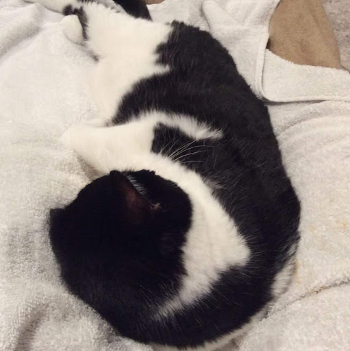 Sean Morton Photo 29