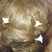 Cathy Morrow Photo 15