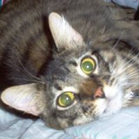 Carrol Rhoads Photo 13