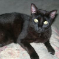 Bert Owens Photo 6