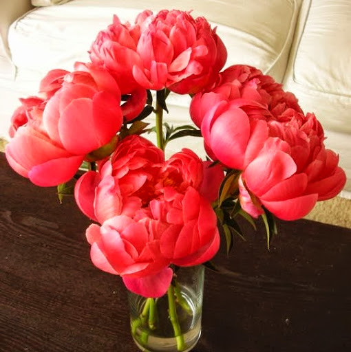 Susan Welch Photo 10