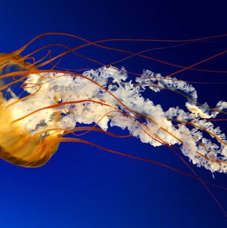 Ruth Henson Photo 10