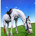 Joy Grass Photo 10