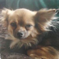 Angela Appleby Photo 12