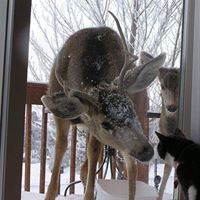 Ruth Temple Photo 19