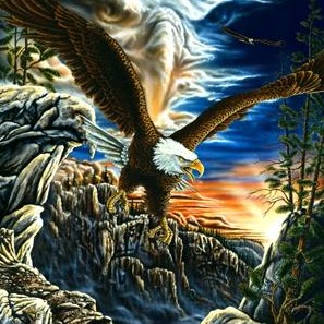 Nicole Welch Photo 23