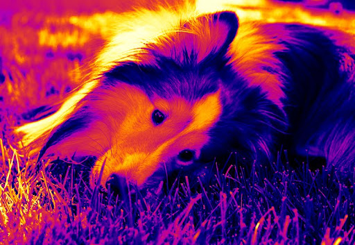 Hannah Curran Photo 12