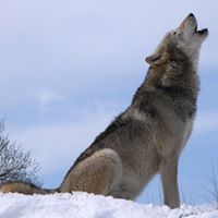 Daniel Combs Photo 38