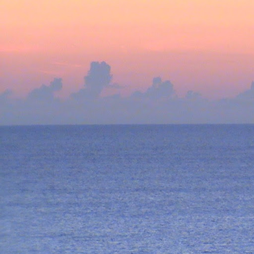 Stephanie Fitzgerald Photo 36 Stephanie Fitzgerald Photo 36