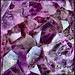 Crystal Bishop Photo 26