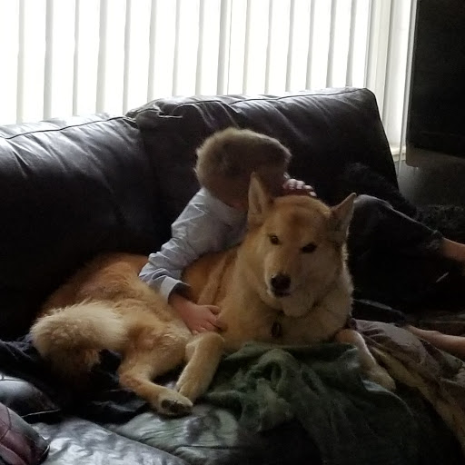 Scott Ericson Photo 20