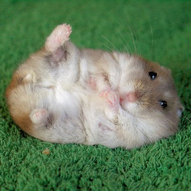 Anthony Spaulding Photo 3