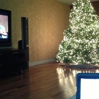 Howard Rice Photo 30