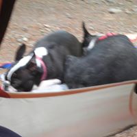 Connie Shaw Photo 15 Connie Shaw Photo 15