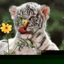 Jill Hamilton Photo 18