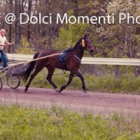 Thomas Colucci Photo 8