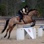 Cynthia Gilbert Photo 3