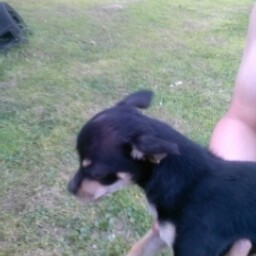 Timothy Reardon Photo 26