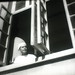 He Li Photo 28